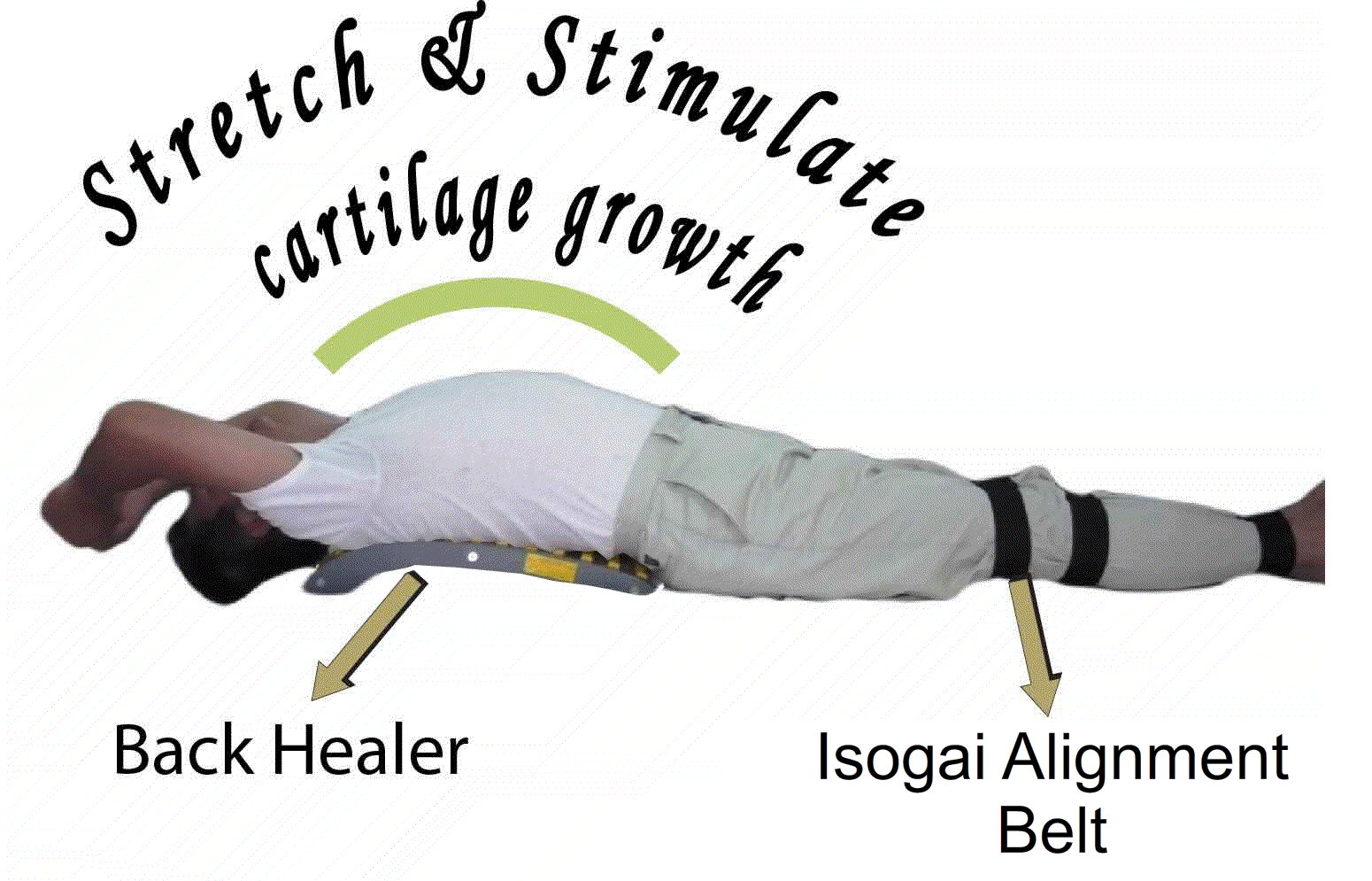 Isogai Alignment Belt Set (3pcs)